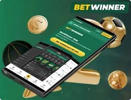 Everything You Need to Know About BetWinner APK File Everything You Need to Know About BetWinner APK File